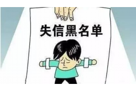 贞丰债务清欠服务